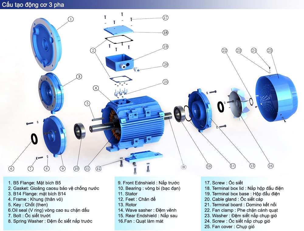 Cấu tạo : Mô tơ Jumar 3 pha 0,37 kW 0.5 HP