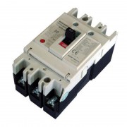 NF250-CV 2P 100A 36kA MCCB Mitsubishi