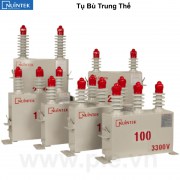 Nuintek APJ-P33192100D Tụ bù trung thế 1P 100Kvar 1.9kV 50Hz