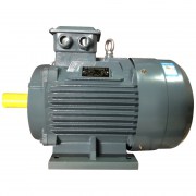 Động cơ điện Jumar 3 pha 11 kW 15 HP - YS-160M1-2
