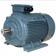 Mô tơ SGP 3 pha 0.18kW 0.25HP, chân đế B3